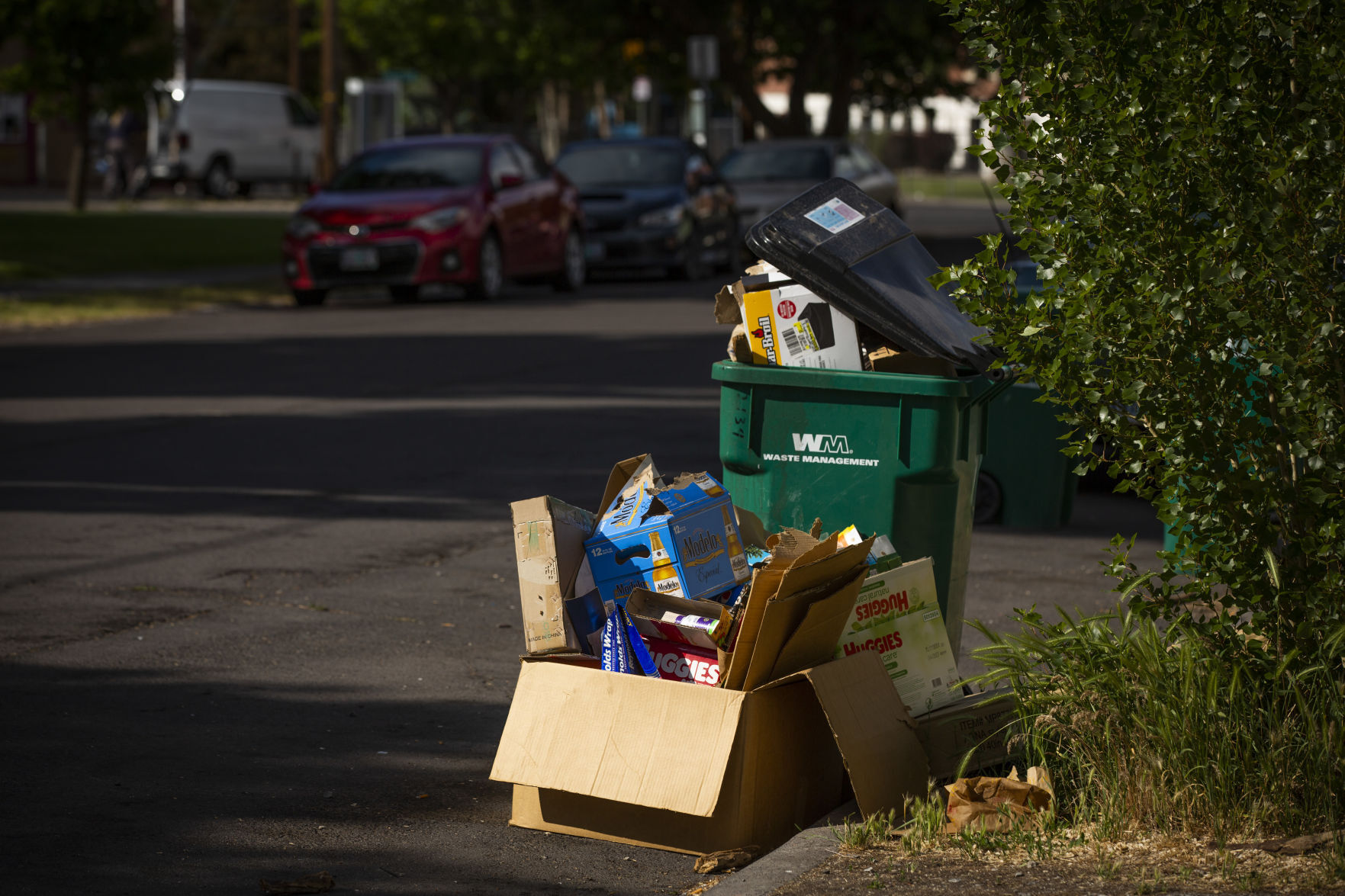 Recycling Bins on Stukel Avenue